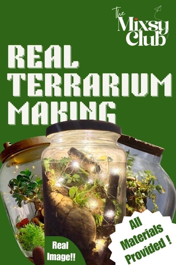 Real Terrarium Making